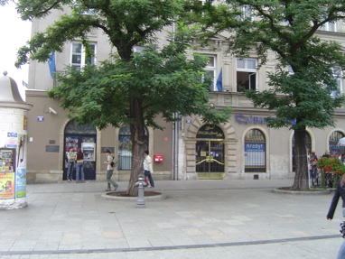 DSC00818