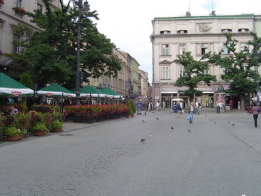 DSC00820