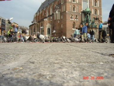 DSC03077
