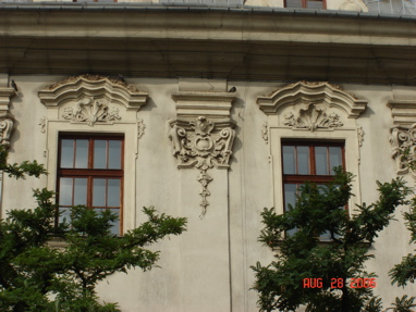 DSC03084