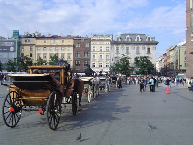 DSC06116