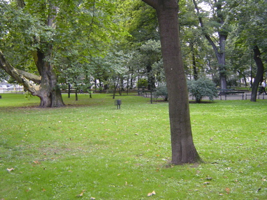 DSC00850