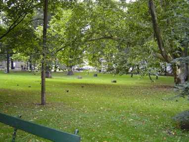 DSC00851