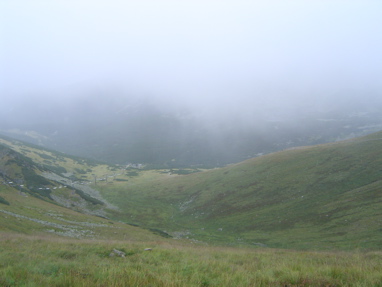 DSC06134