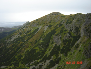 DSC03135