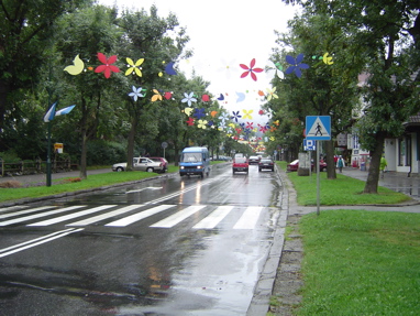 DSC00868