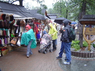 DSC06152