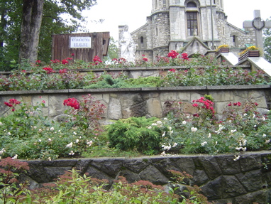 DSC00895