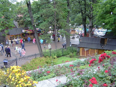 DSC00904