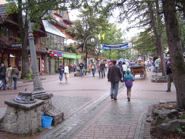 DSC00908