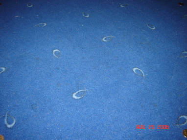 DSC03157