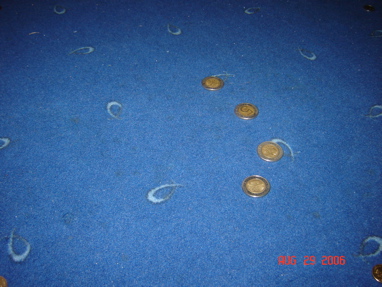 DSC03173