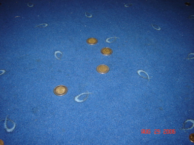 DSC03164