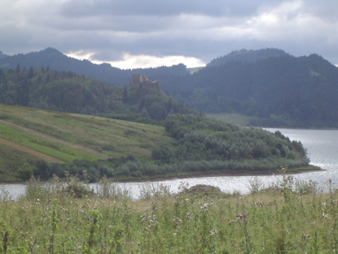 DSC00965