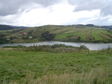 DSC00970