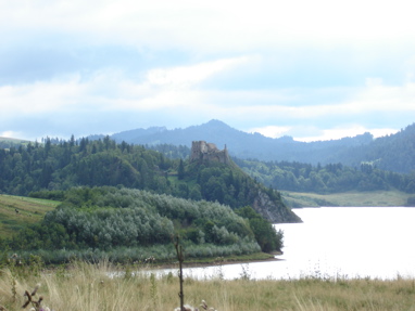 DSC03218