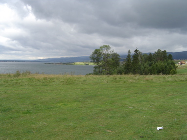 DSC00971