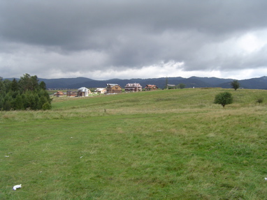 DSC00973