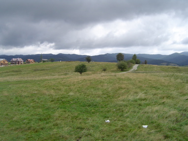 DSC00974