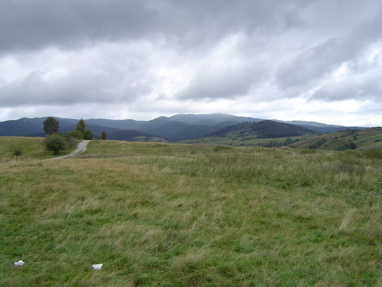 DSC00975