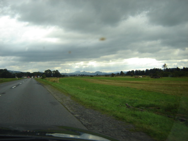 DSC03195