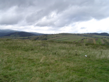 DSC00976