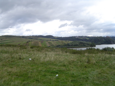 DSC00977