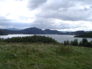 DSC00979