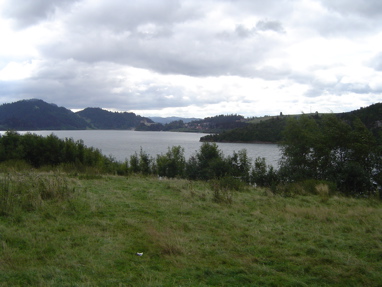 DSC00980