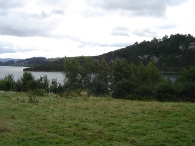 DSC00981
