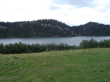 DSC00984