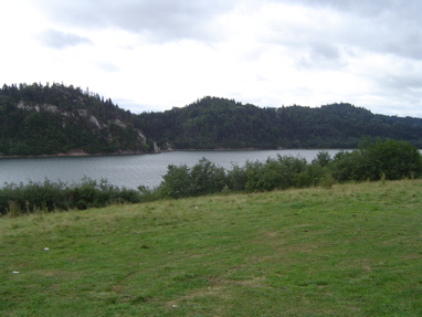 DSC00985