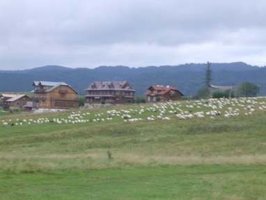 DSC06187