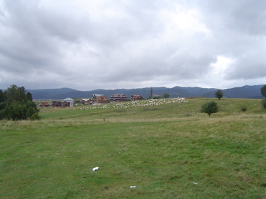 DSC00992