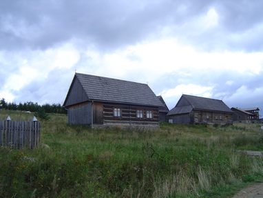 DSC06194