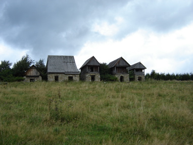 DSC03229