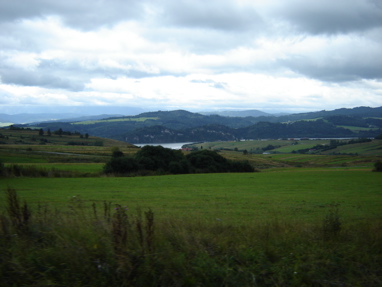 DSC03232