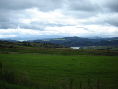 DSC03233