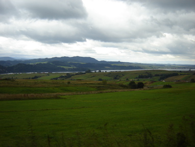 DSC03234