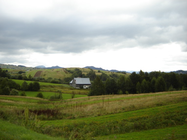 DSC03202