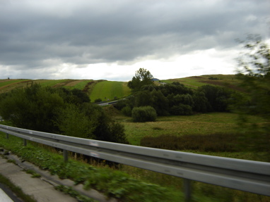 DSC03203