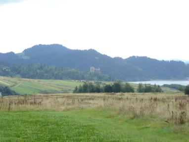 DSC03204