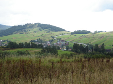 DSC03208