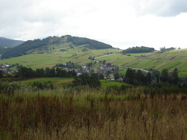DSC03209