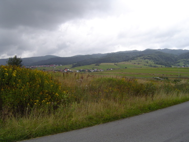 DSC00920