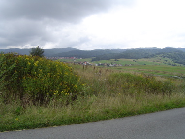 DSC00921