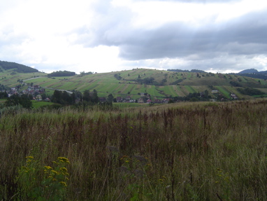 DSC00929