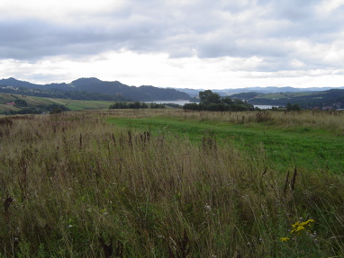 DSC00933