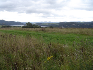 DSC00934