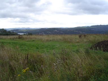 DSC00935